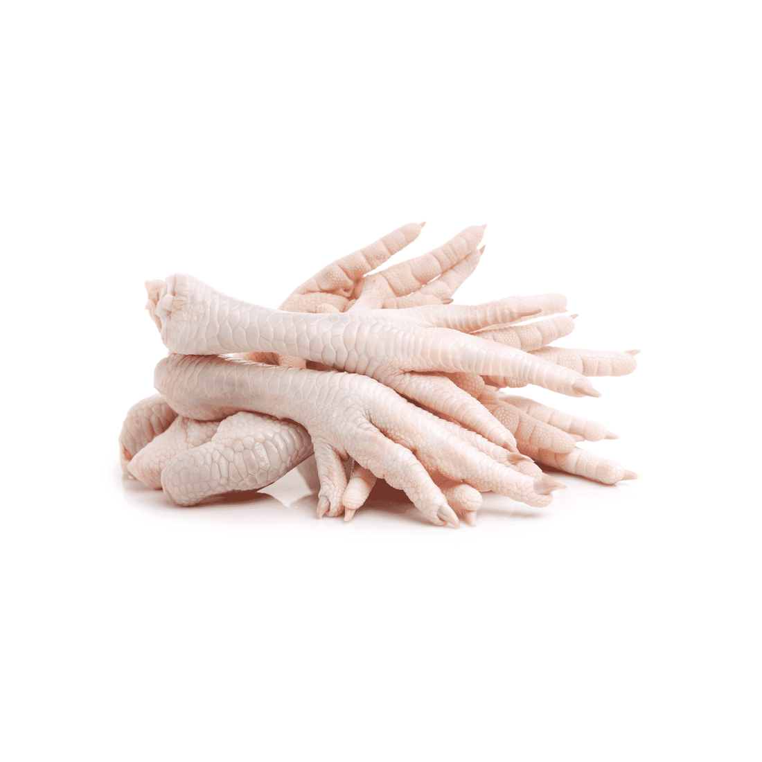 Dehydrated Chicken Feet - 10 Pack - White's Family Farmhouse 