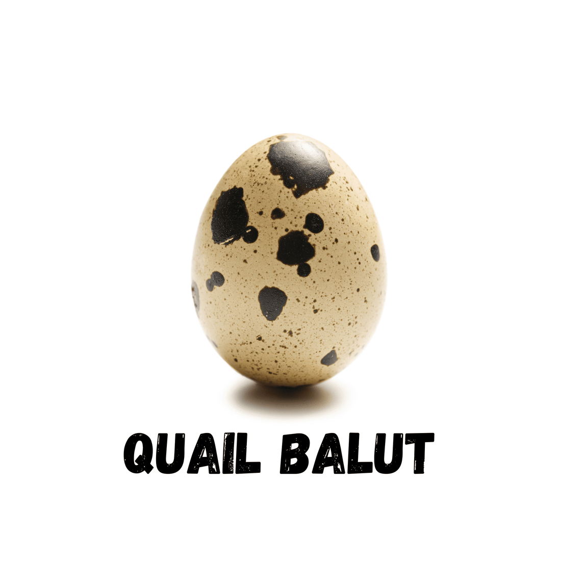 Quail Egg Balut - White's Family Farmhouse 