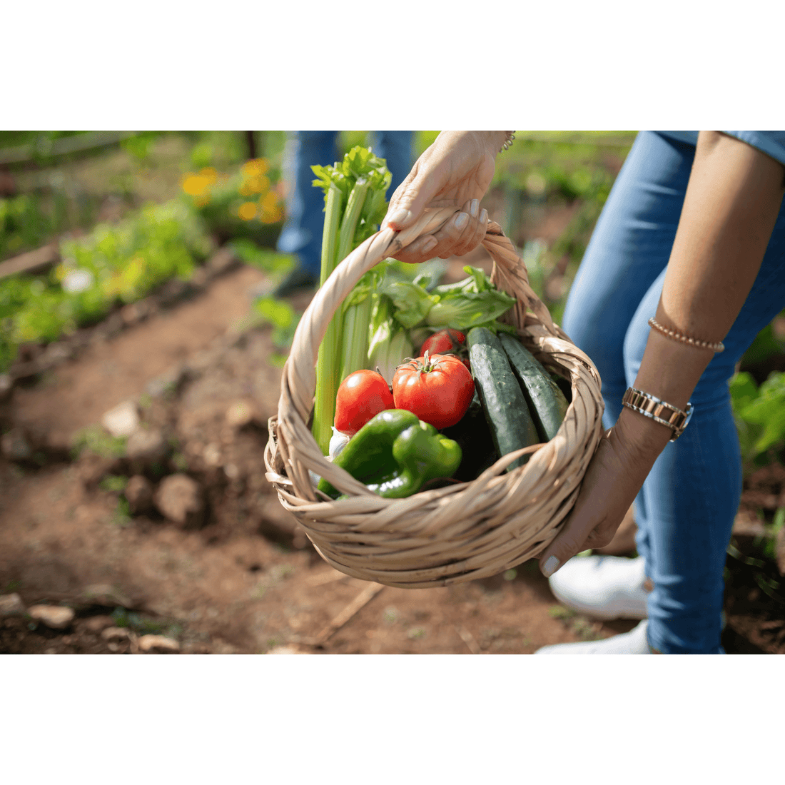 Vegetable Basket - White's Family Farmhouse 