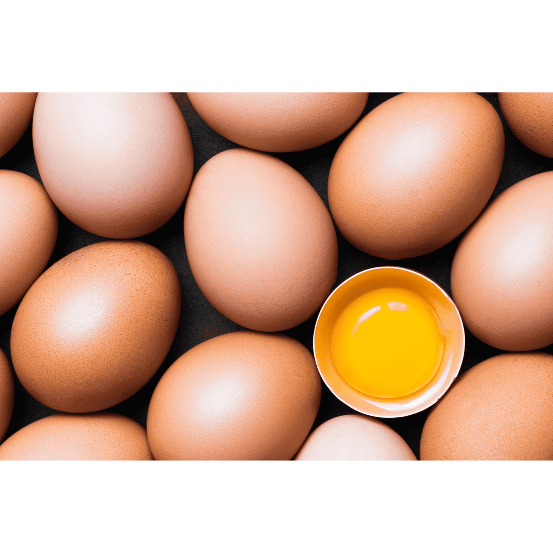 Farm Fresh Chicken Eggs - 1 Dozen - White's Family Farmhouse 